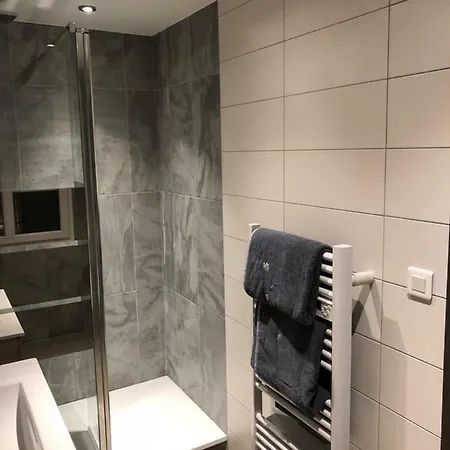 Centre Historique * 科尔马